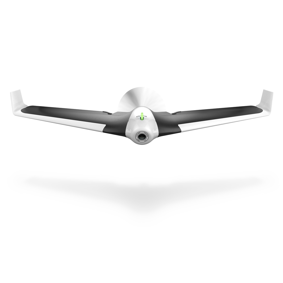 parrot disco adventurer